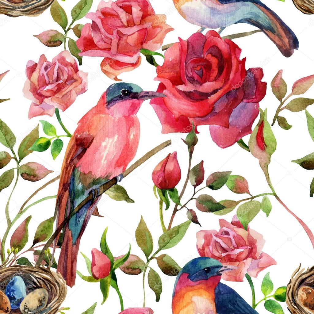 Watercolor birds on the pink and red roses