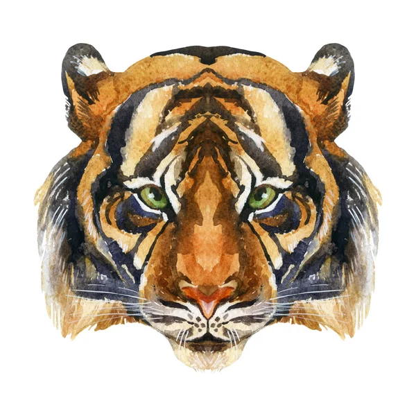 Tiger head in watercolor. — Stock Photo, Image