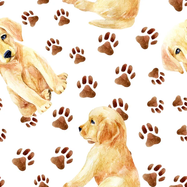 Labrador retriever köpek yavrusu seamless modeli