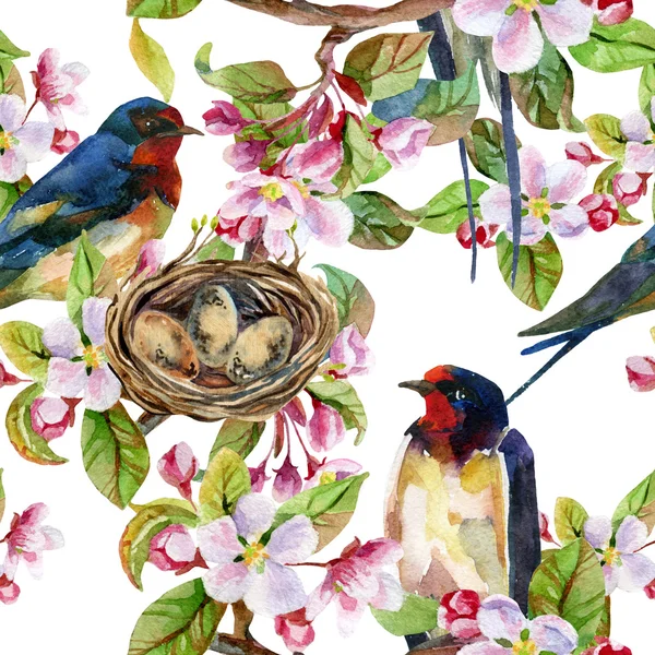 Apple blossom and swallows. — Stock Photo, Image
