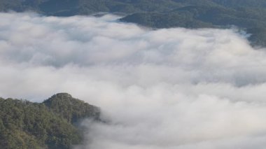 Sisli vadi ve dağ bulutlarının manzarası. Kraliyet mensubu yüksek kalitede en iyi hava manzarası vadideki ağaçların sabah sisli, çam ormanının üzerindeki bulutlu, inanılmaz doğa.