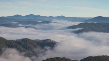 Sisli vadi ve dağ bulutlarının manzarası. Kraliyet mensubu yüksek kalitede en iyi hava manzarası vadideki ağaçların sabah sisli, çam ormanının üzerindeki bulutlu, inanılmaz doğa.
