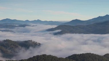 Sisli vadi ve dağ bulutlarının manzarası. Kraliyet mensubu yüksek kalitede en iyi hava manzarası vadideki ağaçların sabah sisli, çam ormanının üzerindeki bulutlu, inanılmaz doğa.