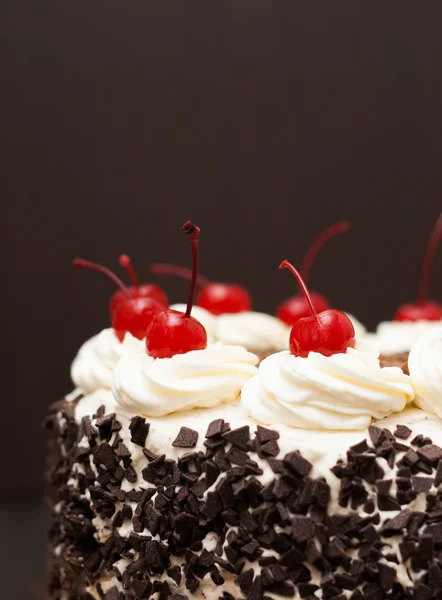 Black Forest cake on a dark background Stock Picture