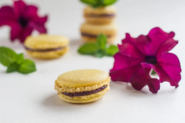 Taarten gele bloem en mint macaron — Stockfoto