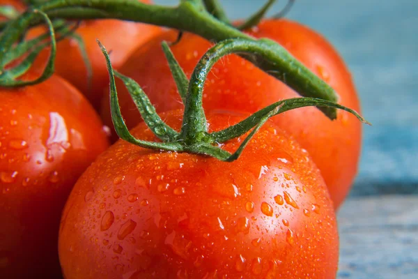 Μάτσο ντομάτες με σταγόνες γκρο πλαν — Φωτογραφία Αρχείου