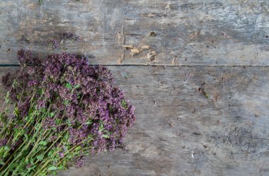 bir ahşap masa arka plan üzerinde yatan kekik demeti