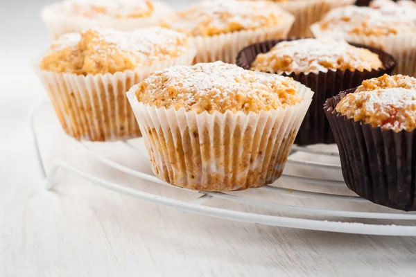Vanilya kabak kekler, Pastalar serpilir ile pudra şekeri — Stok fotoğraf