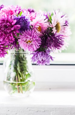 Aster bir ahşap zemin üzerinde bir vazoda buket