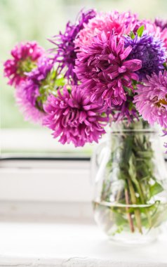 Aster bir ahşap zemin üzerinde bir vazoda buket