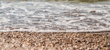 dalgalar ve güneş altında küçük kabuklar sahil şeridine