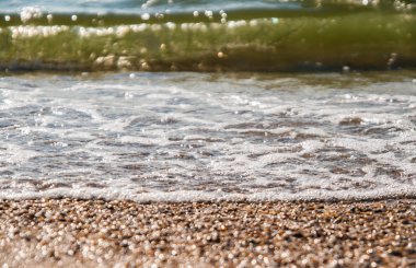 dalgalar ve güneş altında küçük kabuklar sahil şeridine