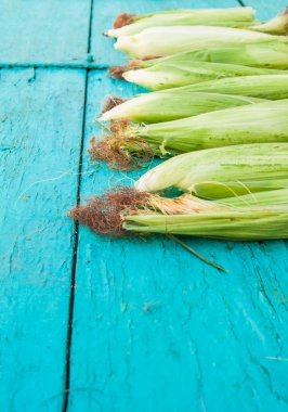 Mavi ahşap zemin üzerinde Mısır