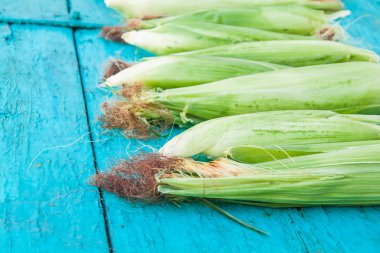 Mavi ahşap zemin üzerinde Mısır