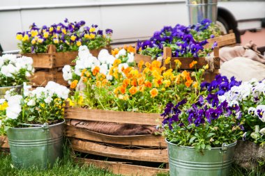 Bahçede büyük bir demet hanım evlatları