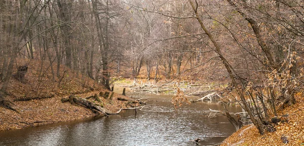 Krajobraz z rzeką, w lesie jesienią w odcieniach brązu — Zdjęcie stockowe