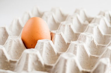 beyaz zemin üzerinde bir kahverengi yumurta karton tepsi