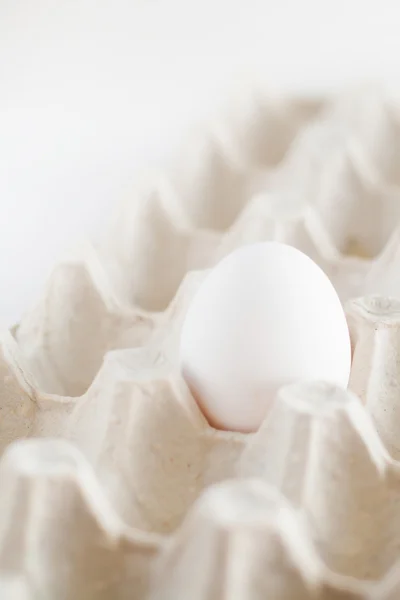 Bandeja de cartón un huevo blanco sobre un fondo blanco — Foto de Stock