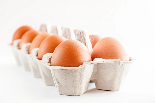 Caixa cheia de ovos castanhos sobre um fundo branco — Fotografia de Stock