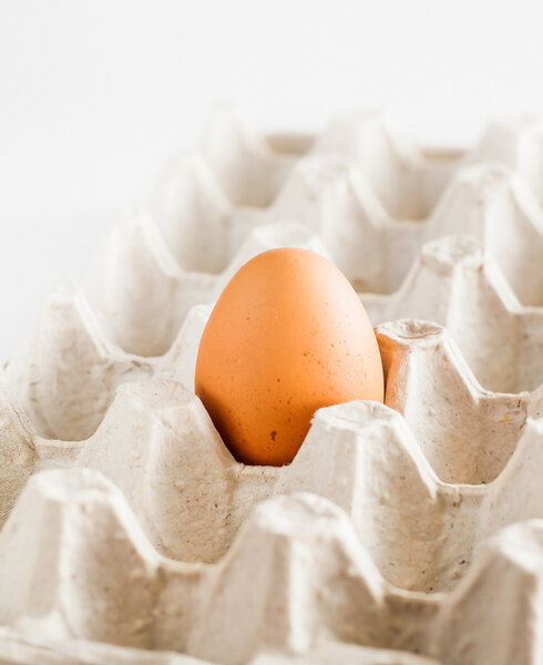 Картонный поднос одно коричневое яйцо на белом фоне
