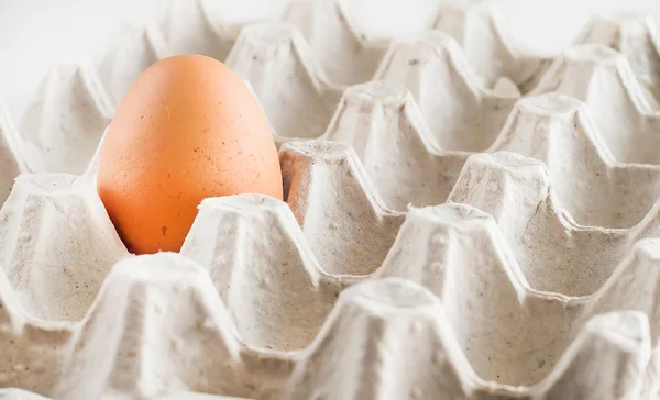 Bandeja de cartón un huevo marrón sobre un fondo blanco — Foto de Stock