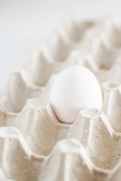 Bandeja de cartón un huevo blanco sobre un fondo blanco — Foto de Stock