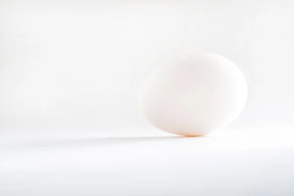 Un huevo blanco aislado fondo blanco — Foto de Stock