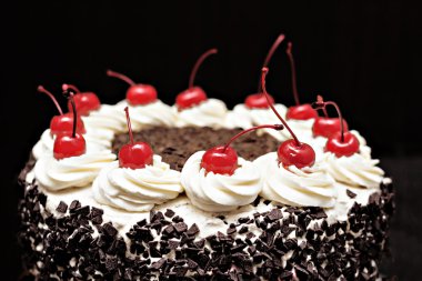 Kara Orman kek koyu arka plan üzerine