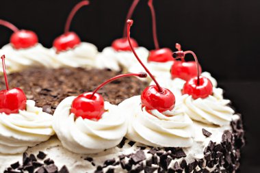 Kara Orman kek koyu arka plan üzerine