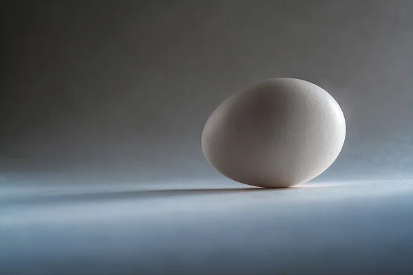 Sombra y silueta de huevos — Foto de Stock