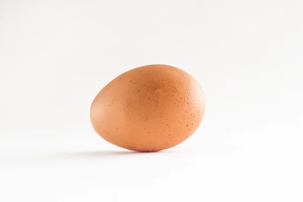 Um ovo marrom isolado fundo branco — Fotografia de Stock