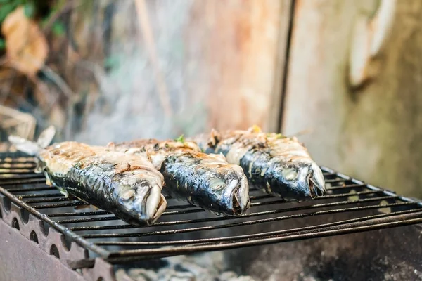 Makrela Ryby przygotowane na grillu w dym — Zdjęcie stockowe