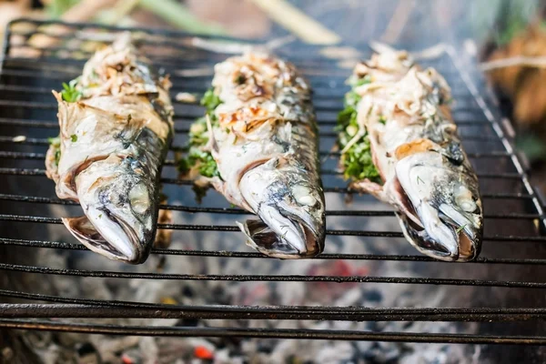 Makreel vis bereid op de grill met rook — Stockfoto