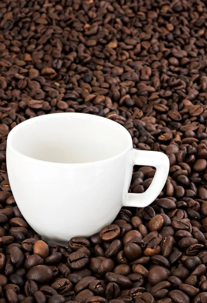 Tasse à café blanche sur le fond des grains de café — Photo