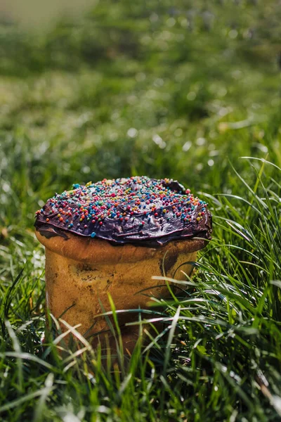 Hagyományos Húsvéti Torta Csokoládéval Fűben Felülnézet Másolás Helyet — Stock Fotó