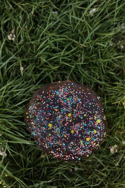 Çimlerde çikolatalı geleneksel Paskalya pastası, üst manzara, kopyalama alanı