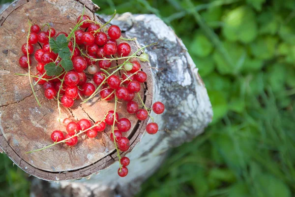 붉고 신선 한 붉은 고깃덩어리 가 풀밭, 맨 위 뷰, 블러, 클로즈업, 복사 공간을 배경으로 나무 그루터기에 놓여 있다. — 스톡 사진