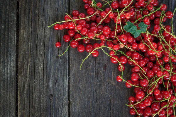 Saftiga färska röda vinbär på en mörk gammal trä bakgrund, ovanifrån — Stockfoto