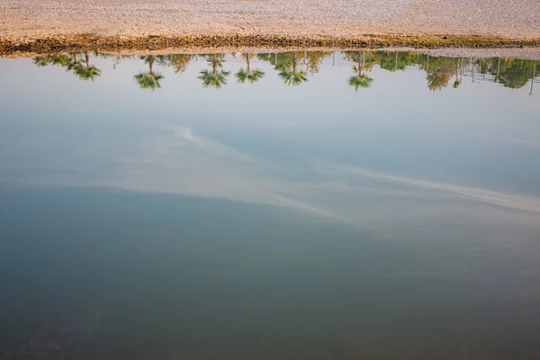 Een rij palmbomen op de oever wordt weerspiegeld in het water van de rivier. Turkije, Alanya — Stockfoto