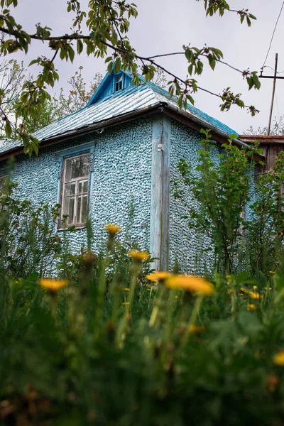 flowers dandelions in front of an old blue village house, bottom view, blur