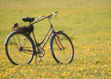 Tarlada eski bir bisiklet