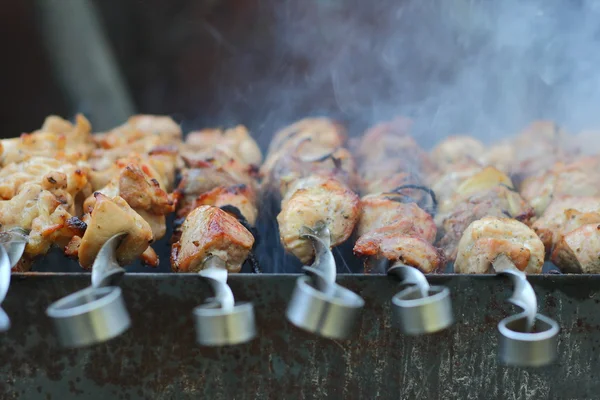 Shish kebab sur le gril — Photo