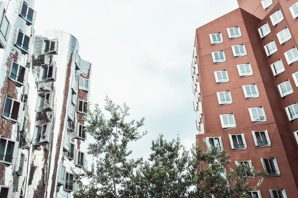 DUSSELDORF, ΓΕΡΜΑΝΙΑ - Ιούνιος 2017: κτίρια του συγκροτήματος Neuer Zollhof σχεδιασμένα από τους αρχιτέκτονες Frank Gehry — Φωτογραφία Αρχείου