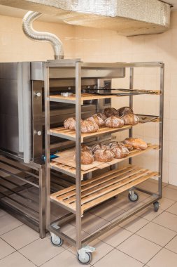 Fırının raflarında taze ekmek somunları