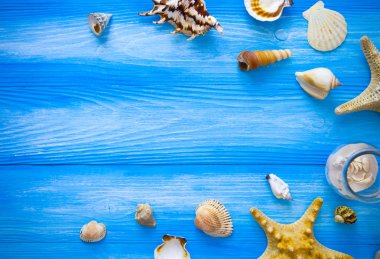 Deniz çerçeve. Mavi ahşap arka plan farklı deniz öğeleri. Deniz