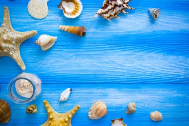 Deniz çerçeve. Mavi ahşap arka plan farklı deniz öğeleri. Deniz