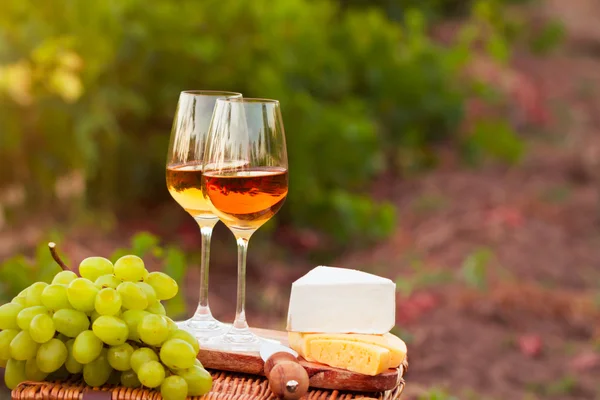 Различные сорта сыра, два бокала белого вина в саду — стоковое фото