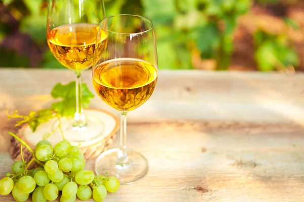 Зеленый виноград и два бокала белого вина в винограднике — стоковое фото