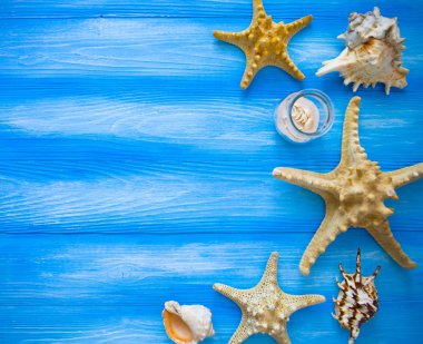 Deniz çerçeve. Mavi ahşap arka plan farklı deniz öğeleri. Deniz