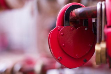 old padlocks on blurred background